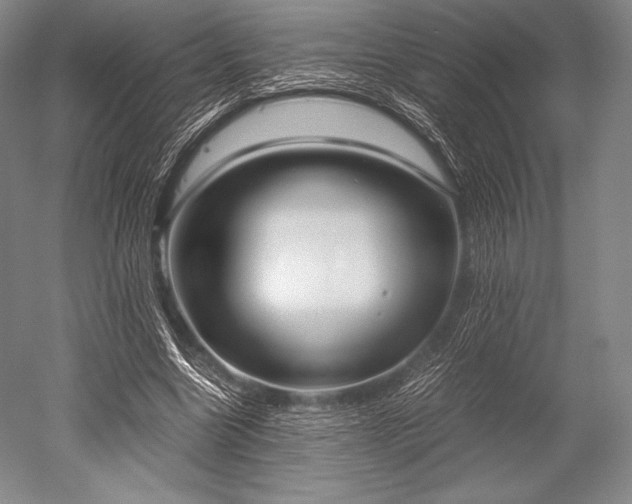 X0000052550538200507081612