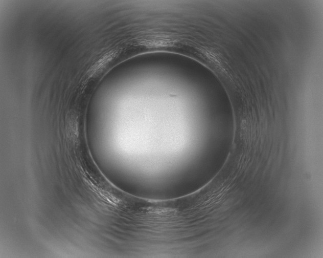 X0000052550539200507081612