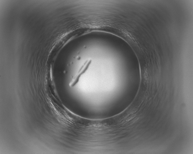 X0000052550540200507081612