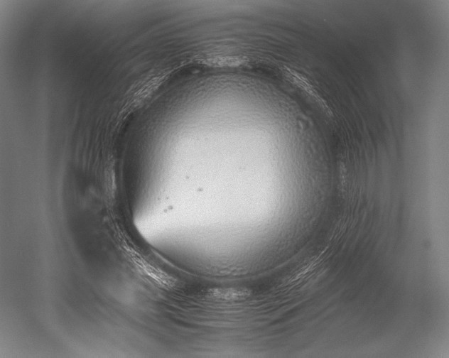 X0000052550541200507081612