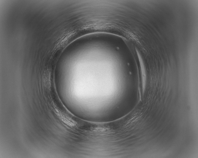 X0000052550542200507081612