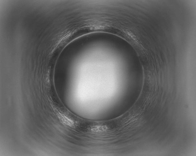 X0000052550543200507081612