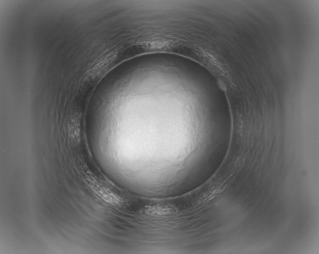 X0000052550545200507081612