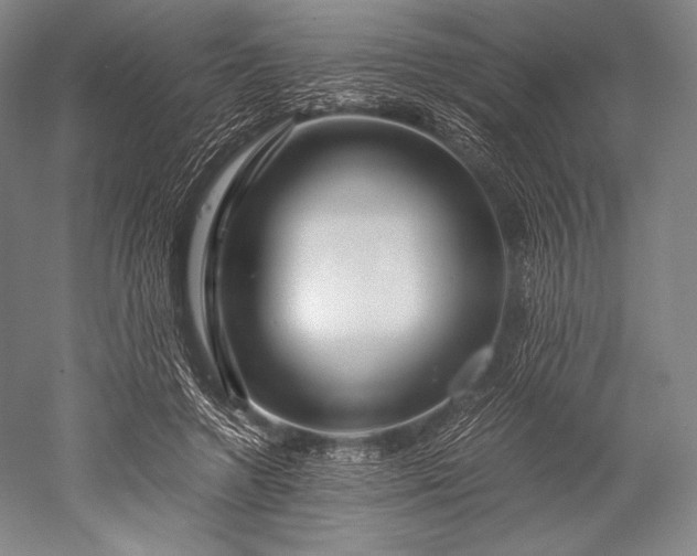 X0000052550546200507081612