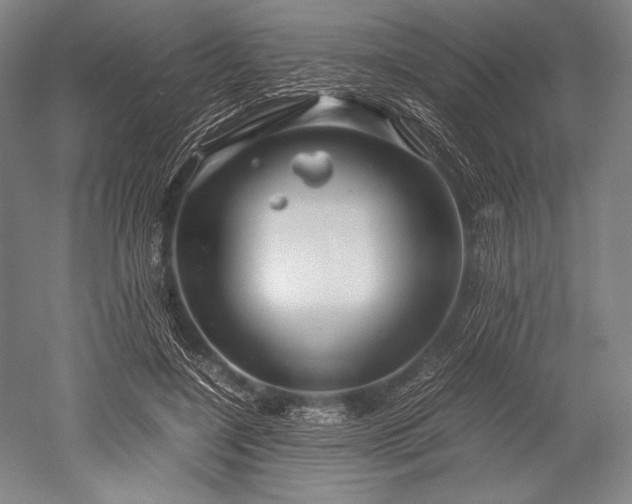 X0000052550548200507081612