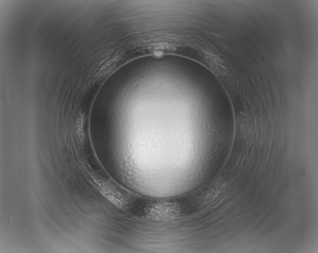 X0000052550550200507081612