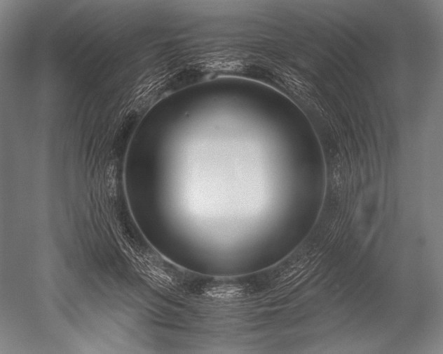 X0000052550551200507081612