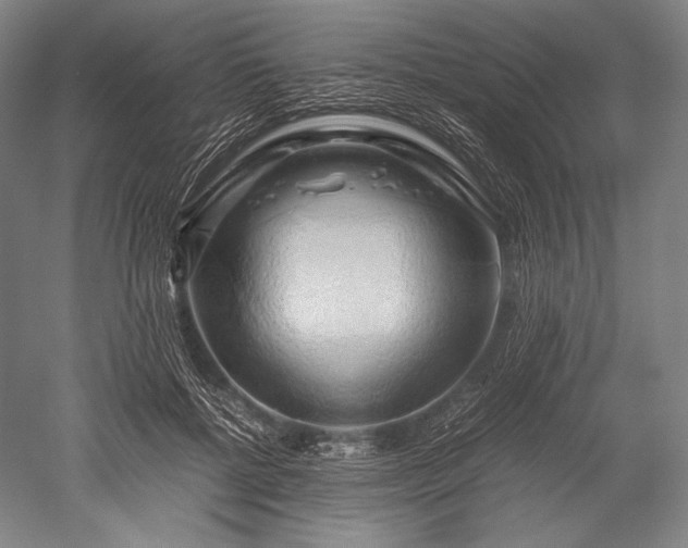 X0000052550552200507081612