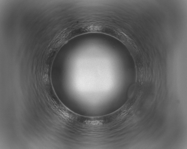 X0000052550553200507081612