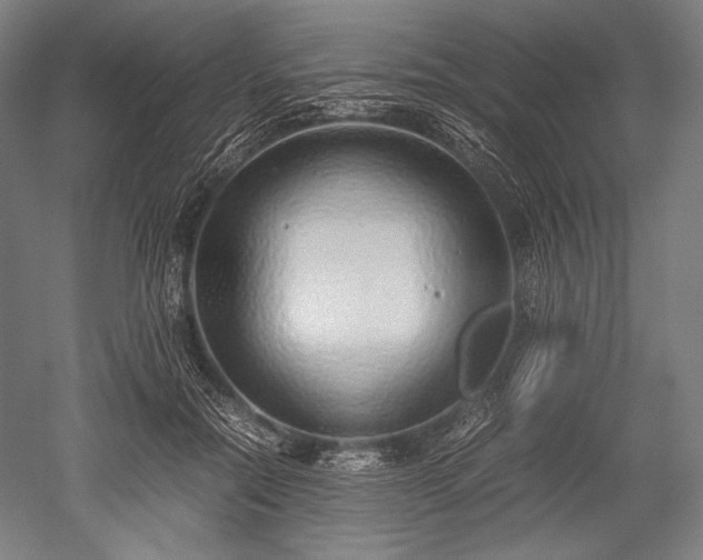 X0000052550554200507081612