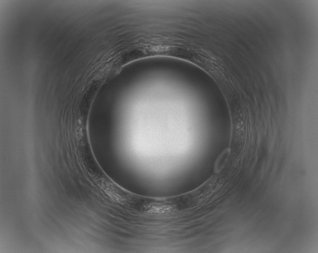 X0000052550555200507081612