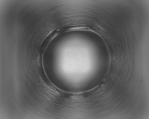 X0000052550556200507081612