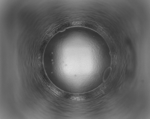 X0000052550557200507081612