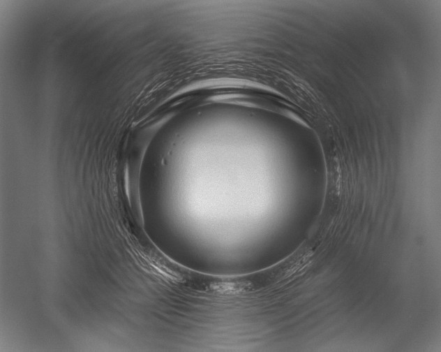 X0000052550558200507081612