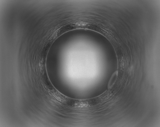 X0000052550559200507081612