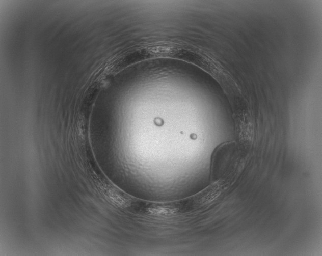 X0000052550561200507081612