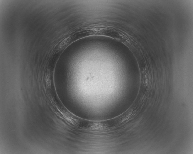 X0000052550562200507081612