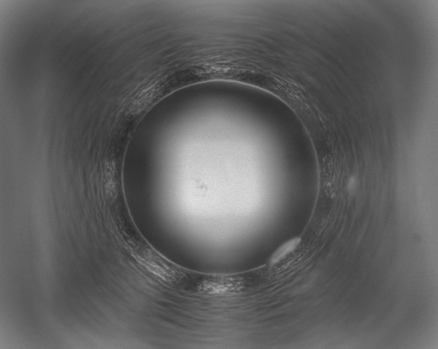 X0000052550563200507081612