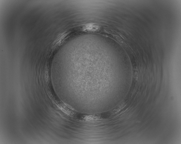 X0000052550568200507081612