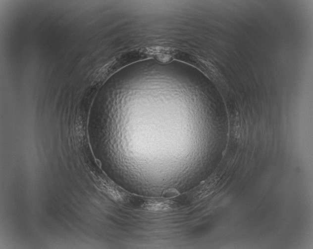 X0000052550569200507081612