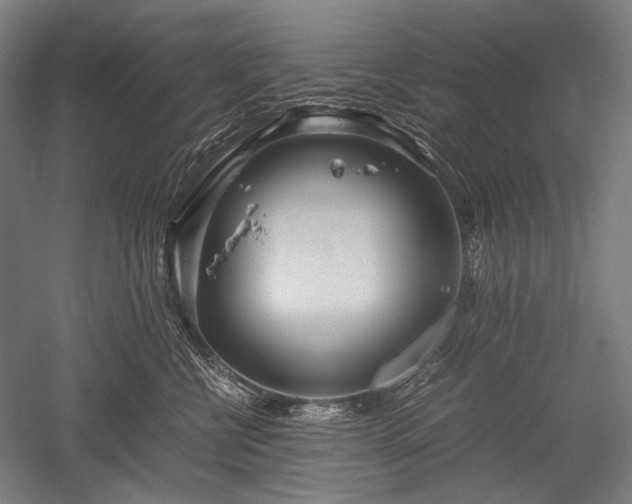 X0000052550570200507081612