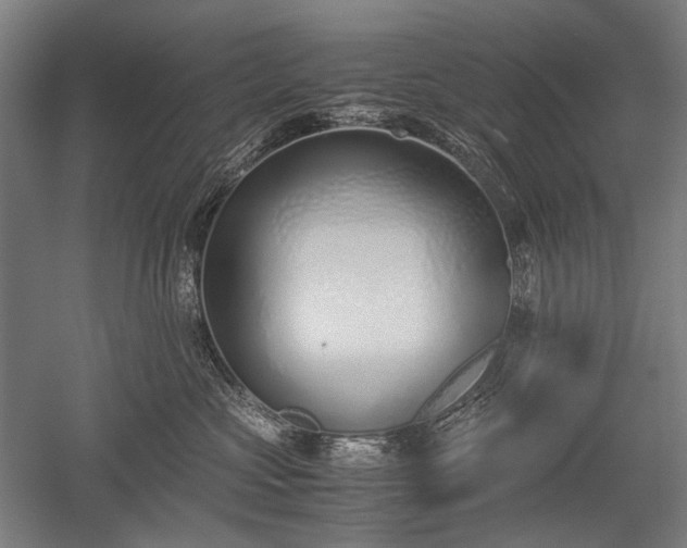 X0000052550573200507081612