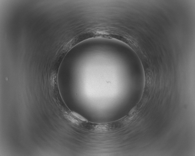 X0000052550574200507081612