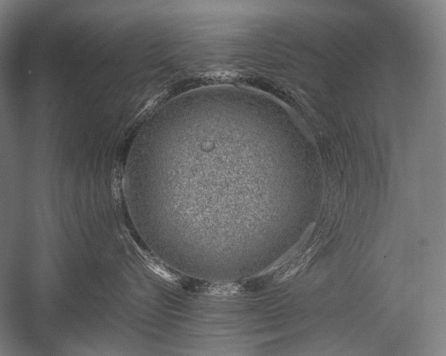 X0000052550576200507081612