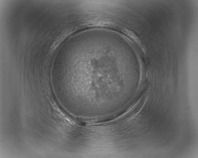 X0000052550577200507081612