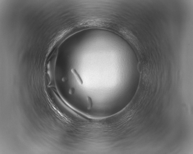 X0000052550578200507081612