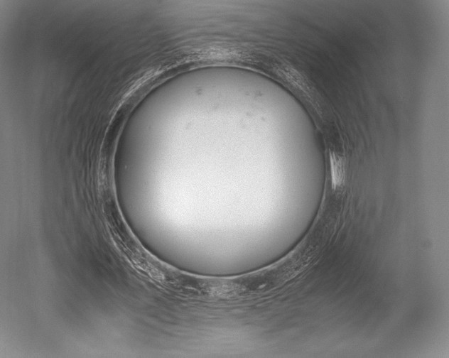 X0000052550579200507081612