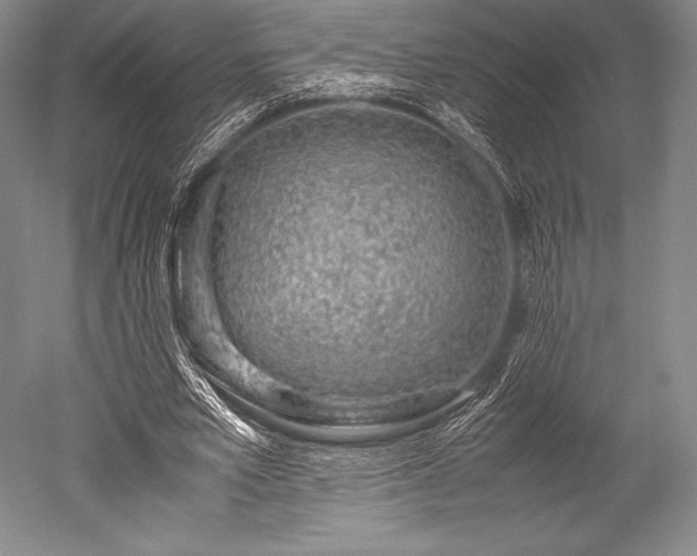 X0000052550581200507081612