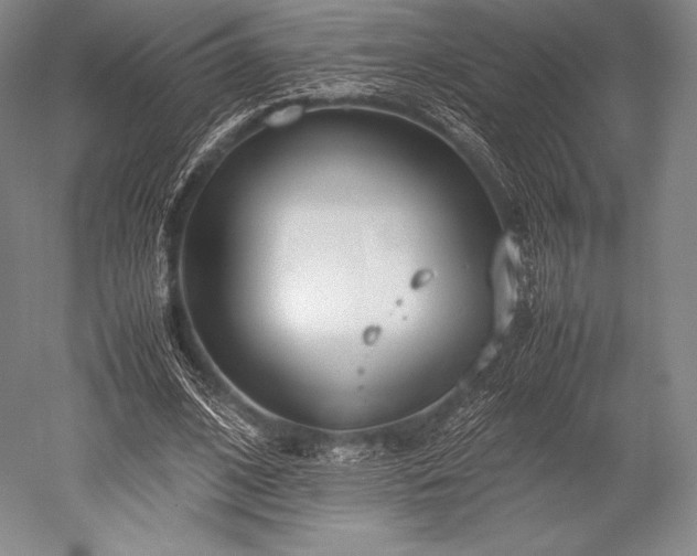 X0000052550584200507081611