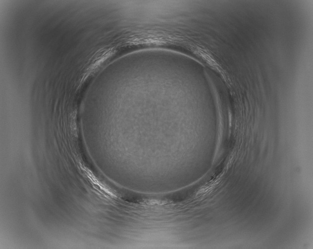 X0000052550585200507081611