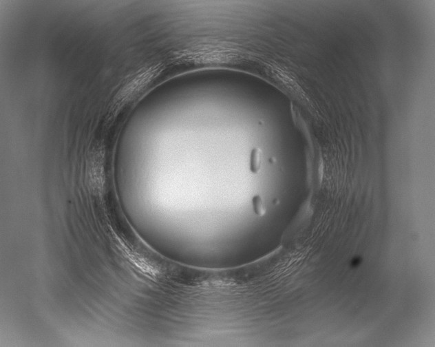 X0000052550586200507081611