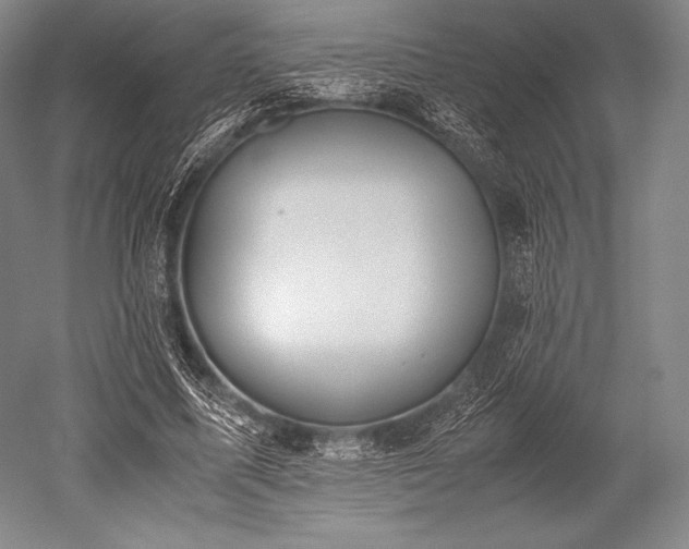 X0000052550587200507081611