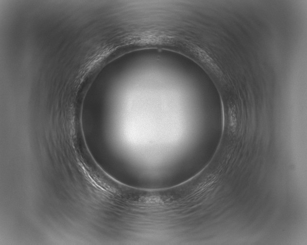 X0000052550588200507081611