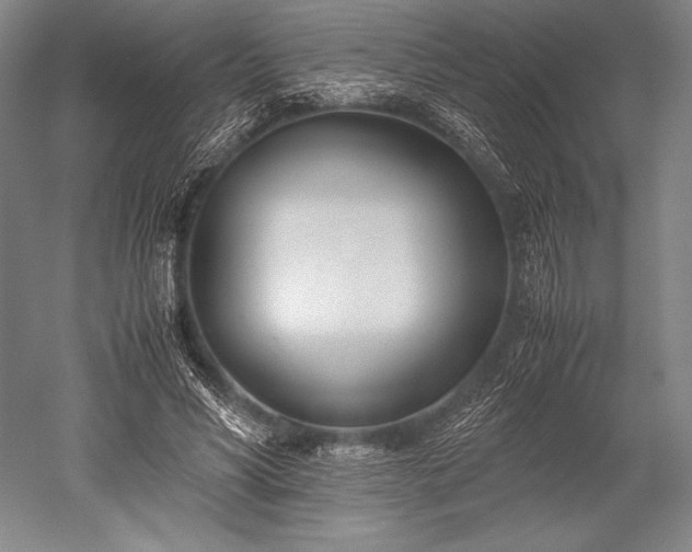 X0000052550590200507081611