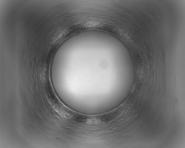 X0000052550591200507081611