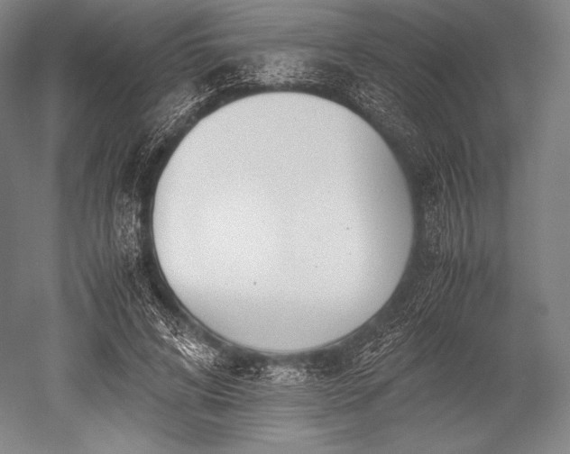 X0000052550592200507081611