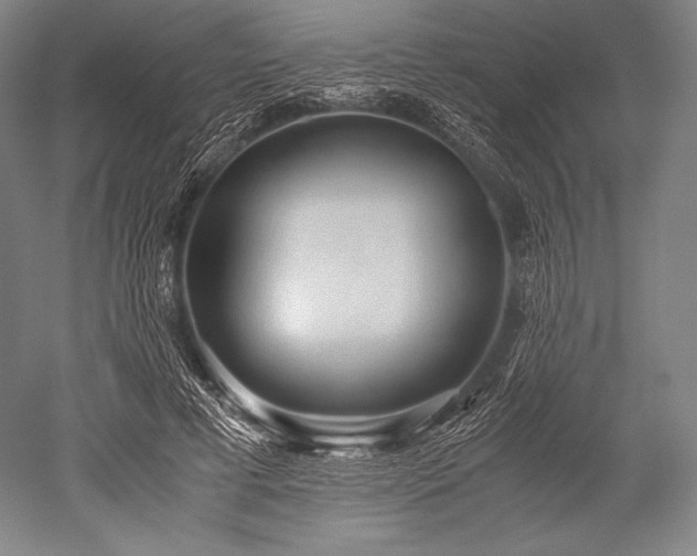 X0000052550593200507081611