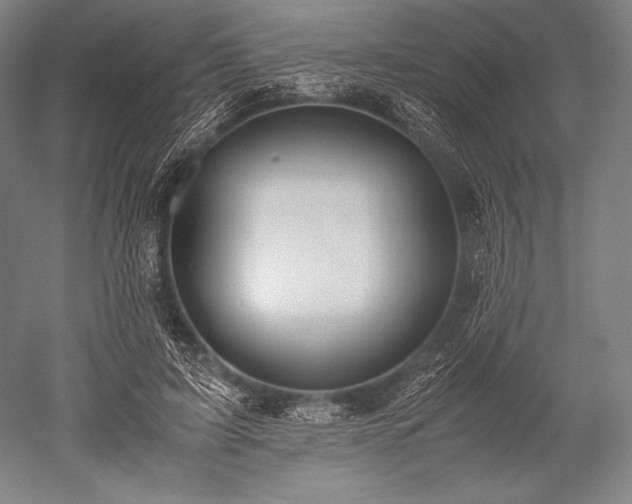 X0000052550595200507081611