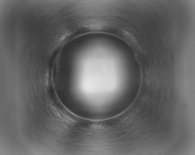 X0000052550596200507081611