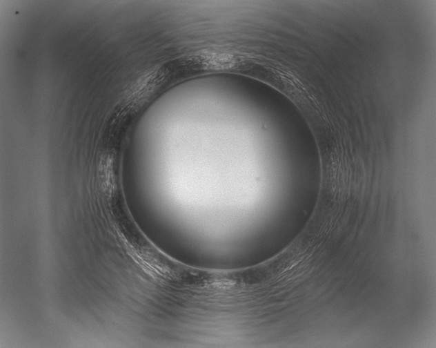 X0000052550598200507081611