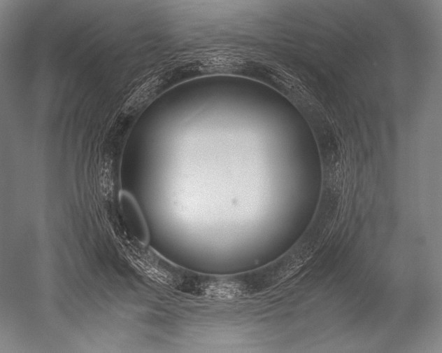 X0000052550599200507081611