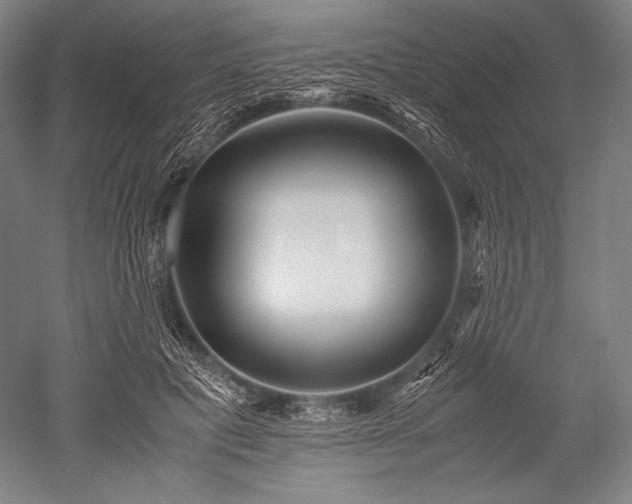 X0000052550601200507081611