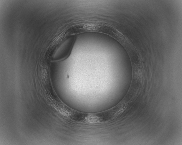 X0000052550603200507081611