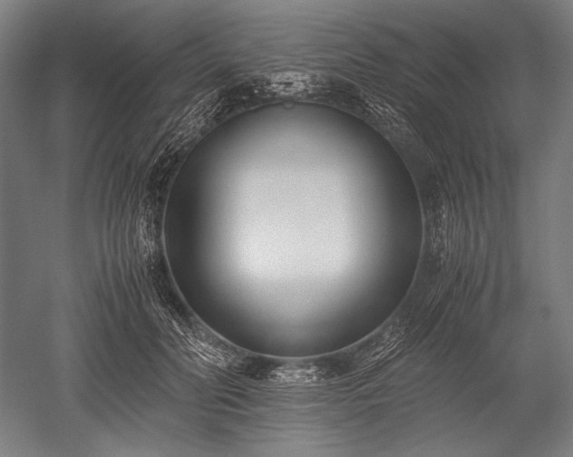 X0000052550606200507081611