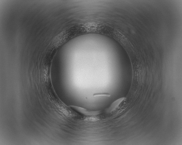 X0000052550610200507081611