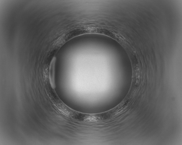 X0000052550611200507081611